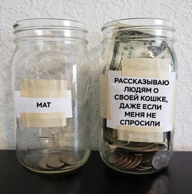 Подборка прикольных фото №3719