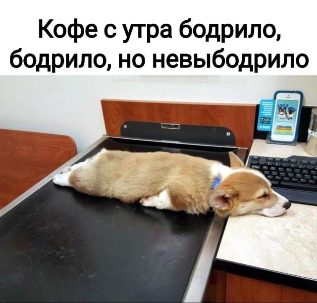 Подборка прикольных фото №3719