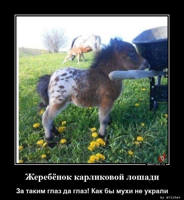 
			Демотиваторы №3653 (18 фото)