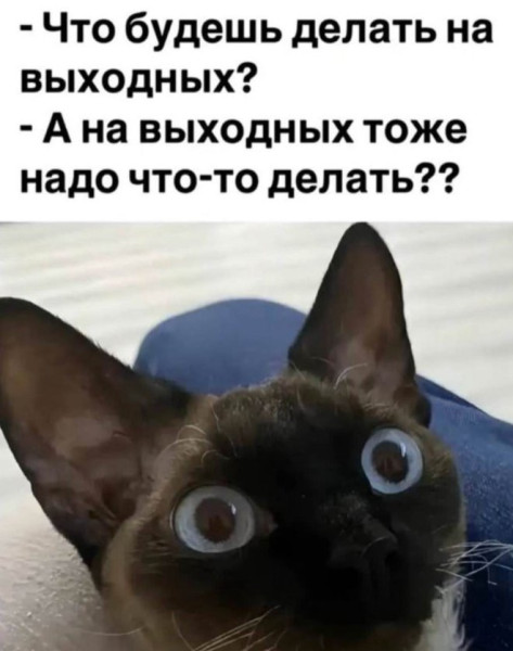 Мем №1530274