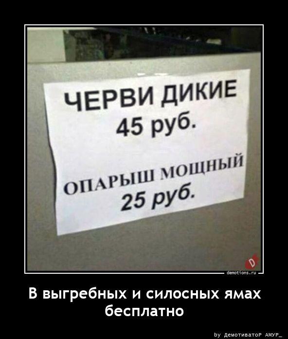 
			Демотиваторы №3656 (15 фото)