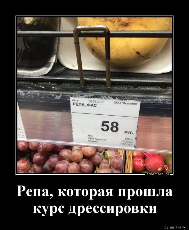 
			Демотиваторы №3663 (20 фото)