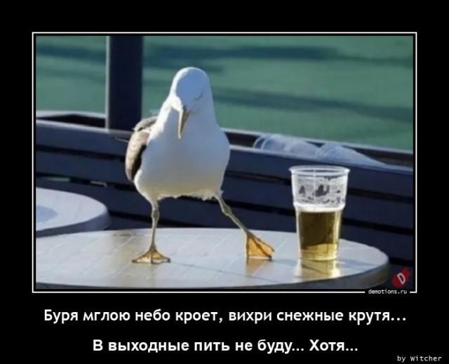 
			Демотиваторы №3663 (20 фото)