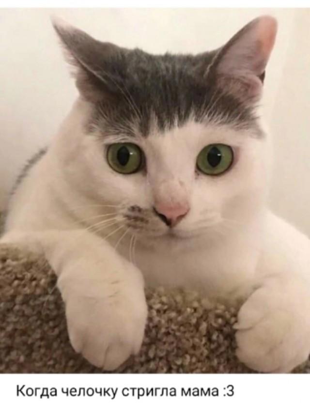 Подборка прикольных фото №3710