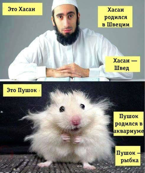 Мем №1527111