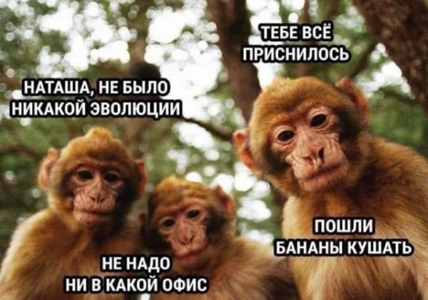 Мем №1531661