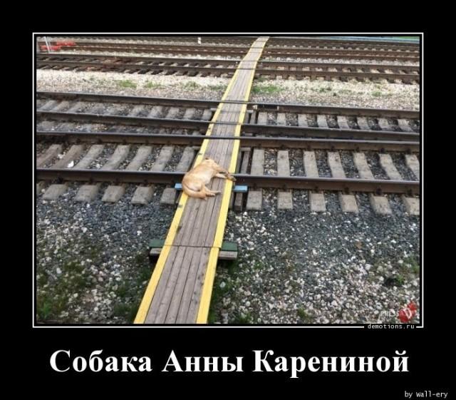 
			Демотиваторы №3659 (18 фото)