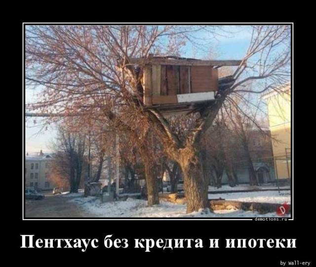 
			Демотиваторы №3653 (18 фото)