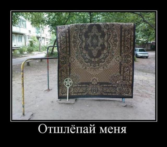 
			Демотиваторы №3653 (18 фото)