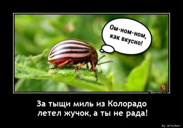 
			Демотиваторы №3660 (15 фото)