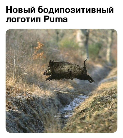 Мем №1528794