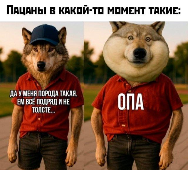 Подборка прикольных фото №3727