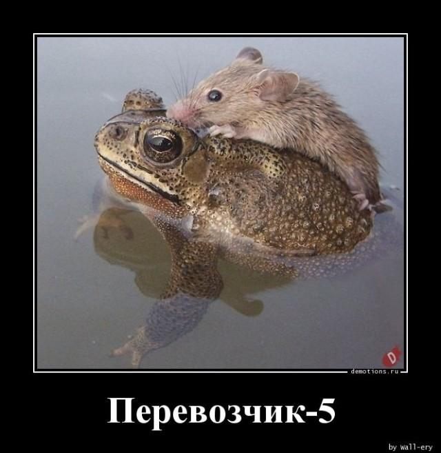 
			Демотиваторы №3668 (15 фото)