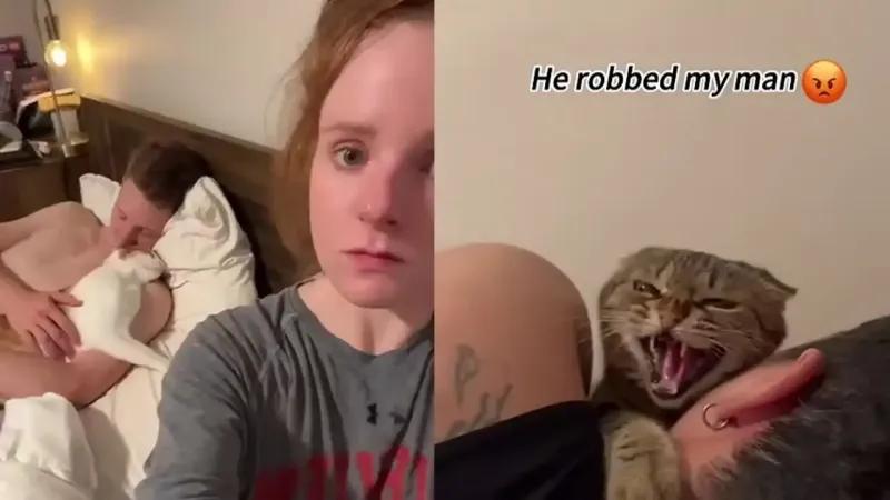 
        Девушки сняли на видео доказательства, что кошка запросто может увести мужчину    