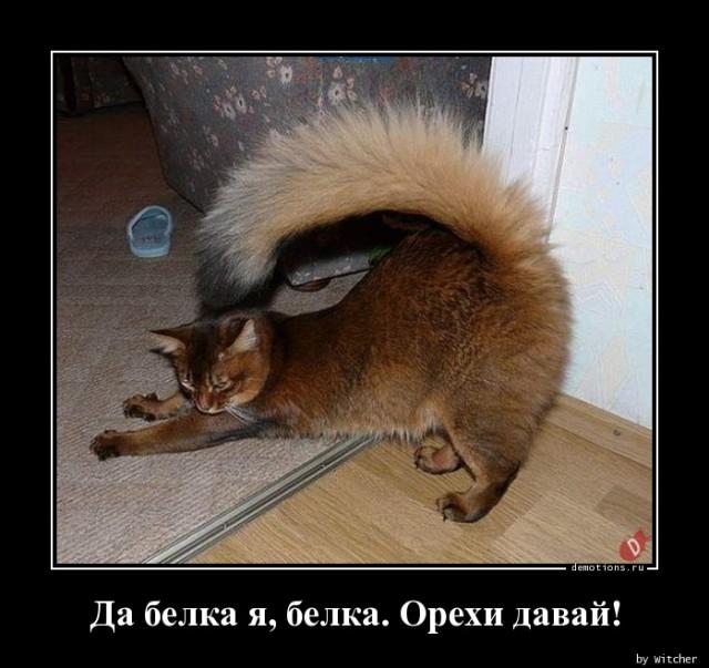 
			Демотиваторы №3658 (17 фото)