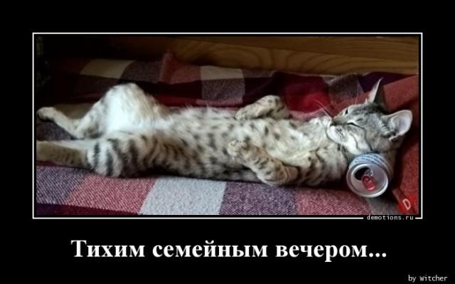 
			Демотиваторы №3655 (18 фото)