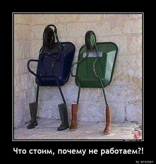 
			Демотиваторы №3673 (18 фото)