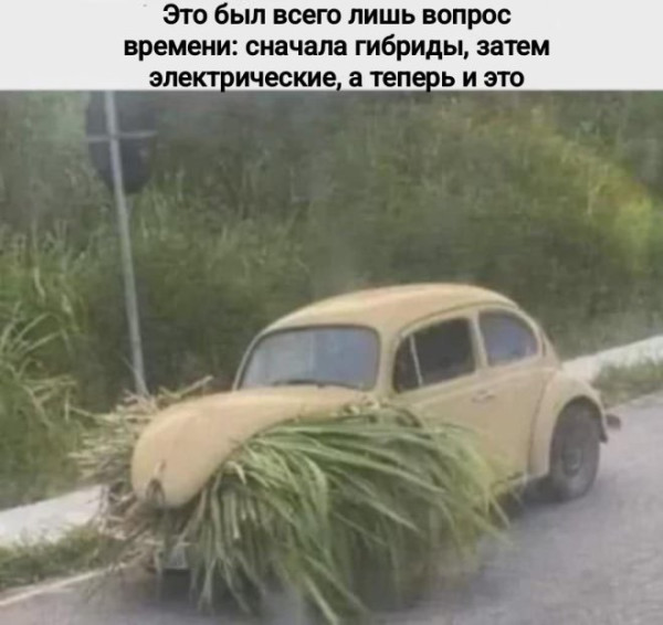 Мем №1531894