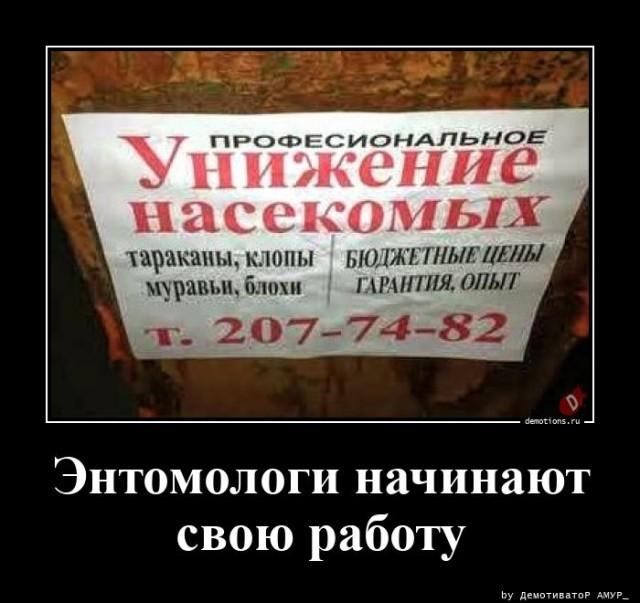 
			Демотиваторы №3668 (15 фото)
