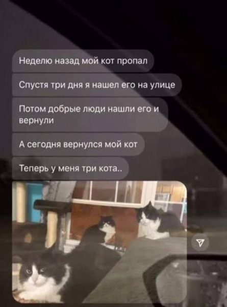 Мем №1532213