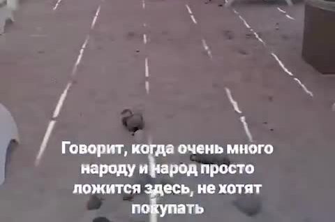 
        1500 рублей за тень берут на пляже в Адлере    