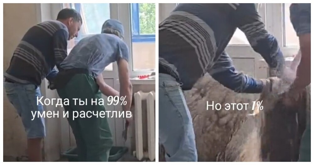 
        Хорошо, что тазик поставили    