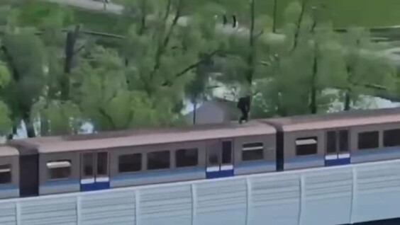 
        Новое развлечение зацеперов засняли в московском Бутово    