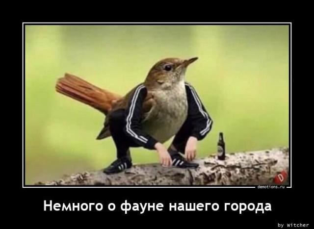 
			Демотиваторы №3663 (20 фото)