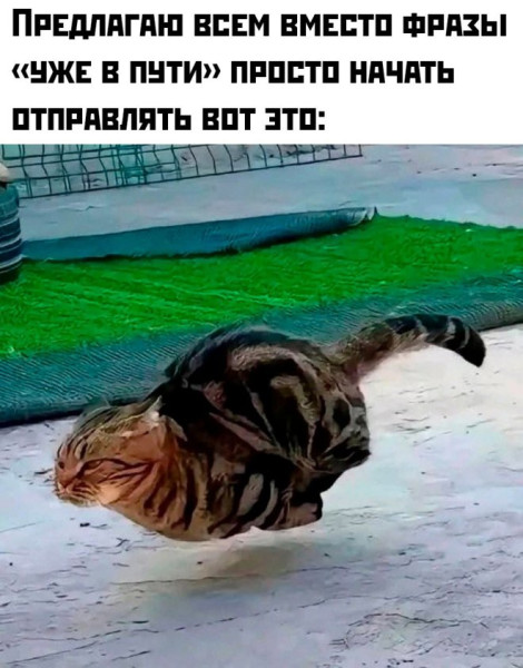 Мем №1530467