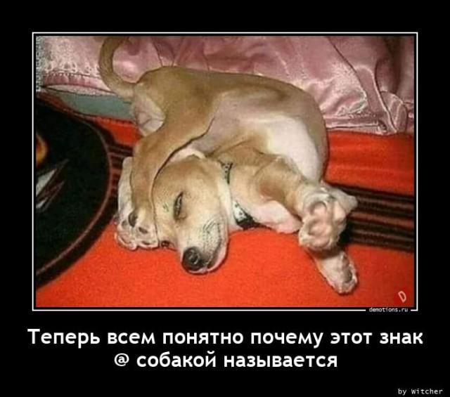 
			Демотиваторы №3666 (15 фото)