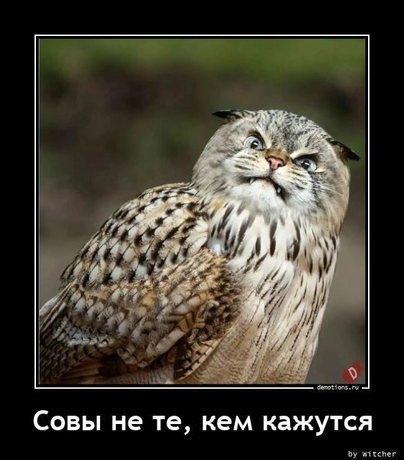 
			Демотиваторы №3665 (15 фото)