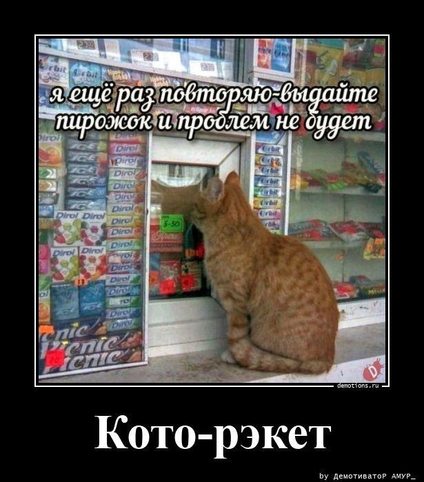 
			Демотиваторы №3668 (15 фото)