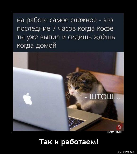 
			Демотиваторы №3653 (18 фото)