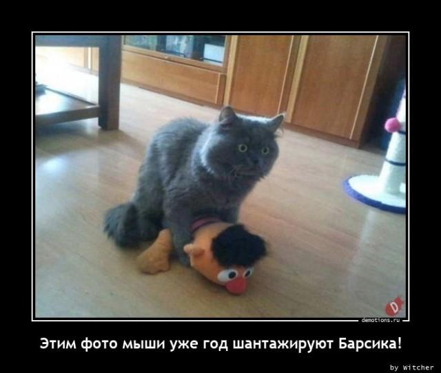 
			Демотиваторы №3658 (17 фото)