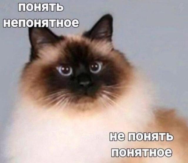 Подборка прикольных фото №3710