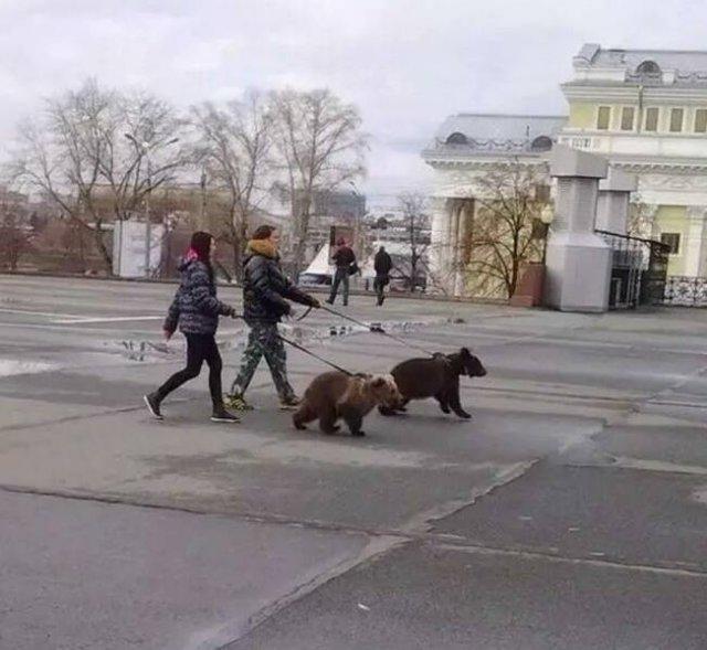 Подборка прикольных фото №3744