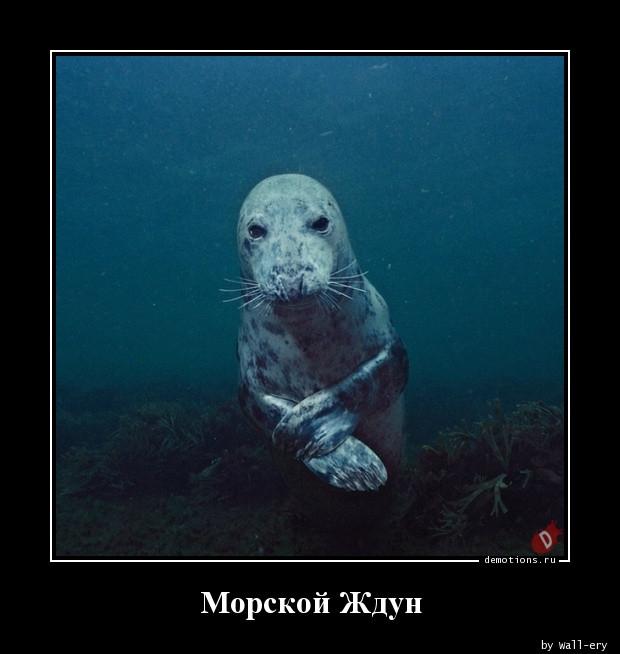 
			Демотиваторы №3688 (20 фото)