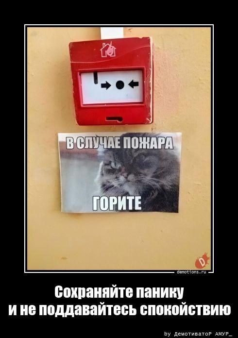 
			Демотиваторы №3680 (15 фото)