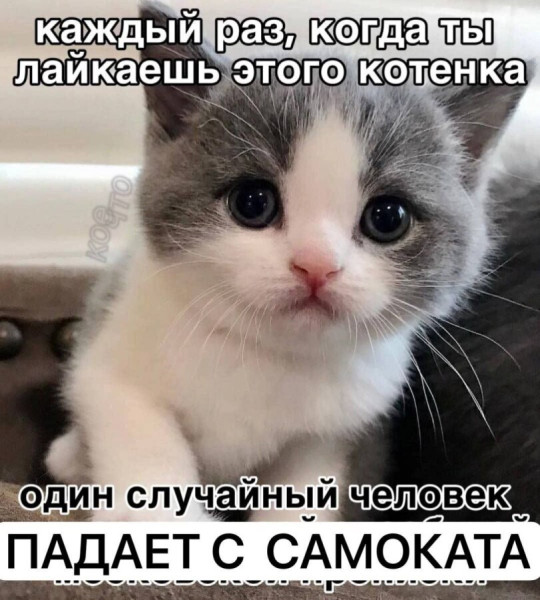 Мем №1532417