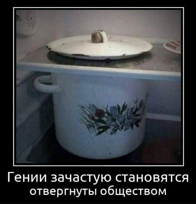 
			Демотиваторы №3688 (20 фото)