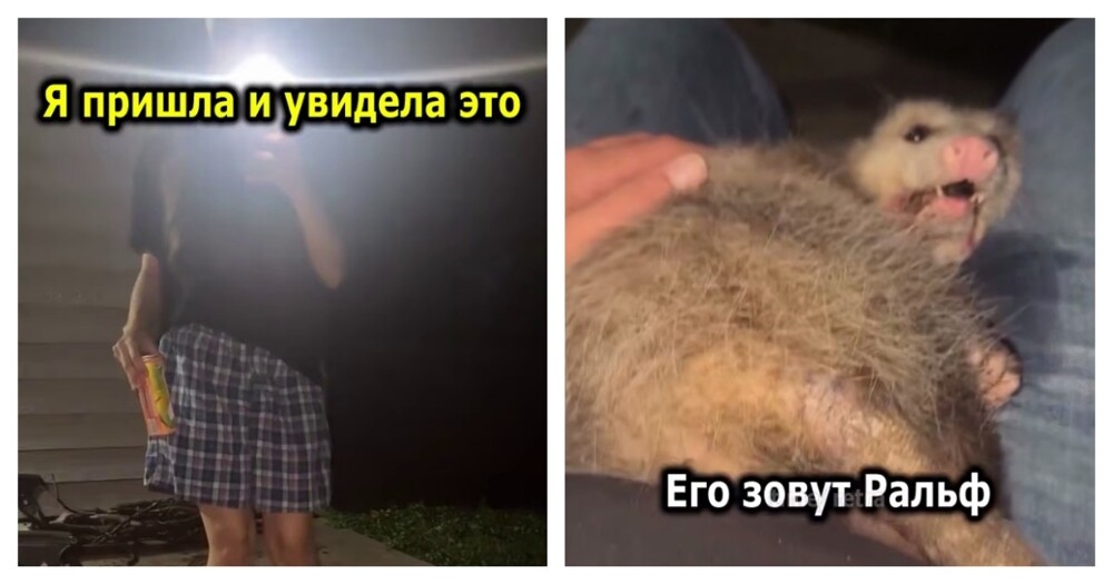 
        Девушка не в восторге от нового друга её парня    