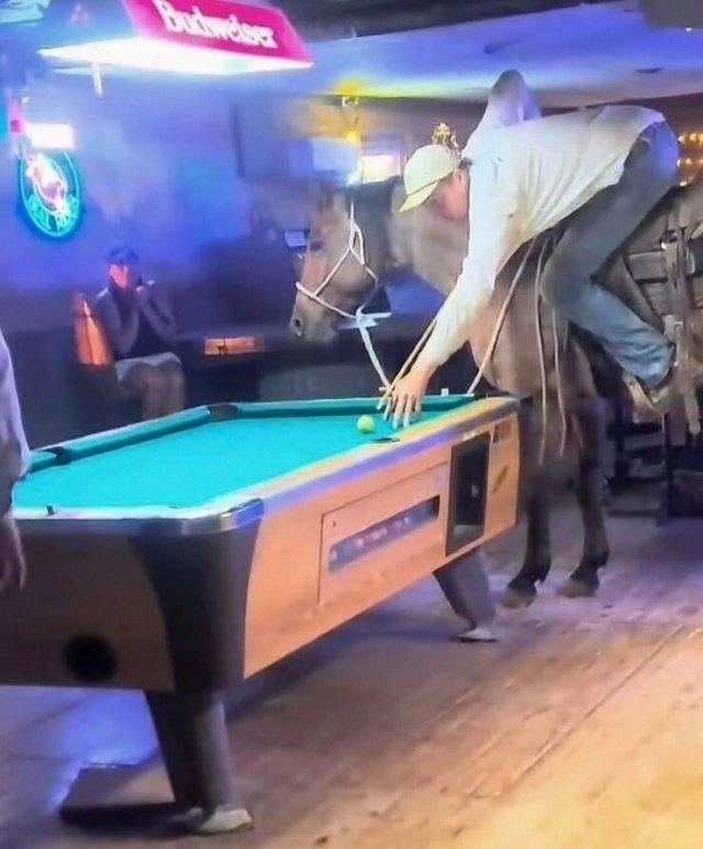 Подборка прикольных фото №3729