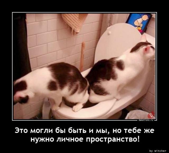 
			Демотиваторы №3687 (18 фото)