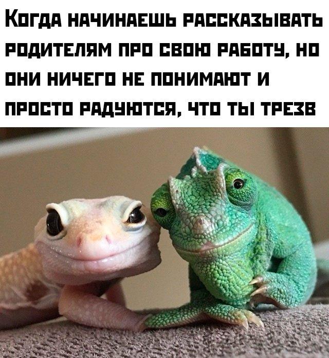 Подборка прикольных фото №3735
