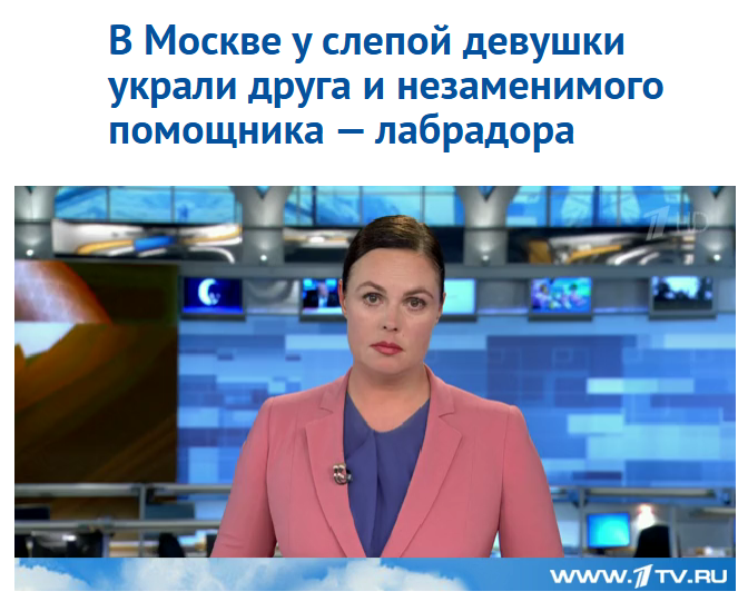 
        Как я похительнице собак помогал    