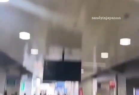 
        Ласточка свила гнездо в метро    