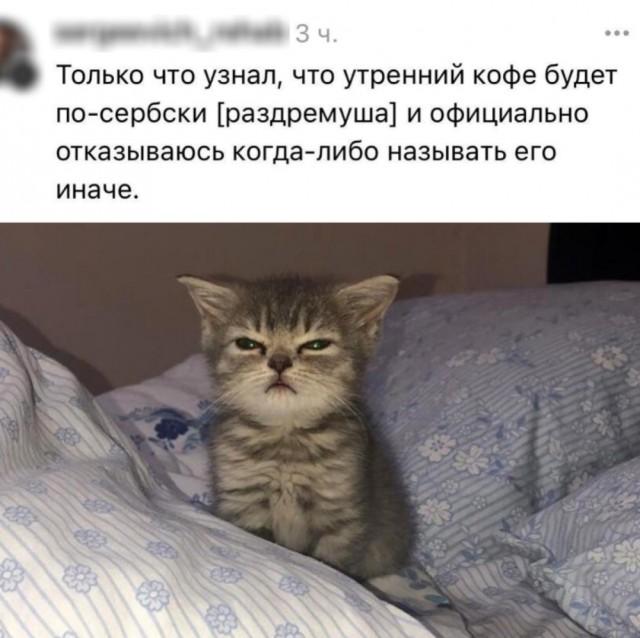 Подборка прикольных фото №3738