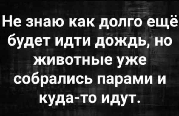Мем №1532385