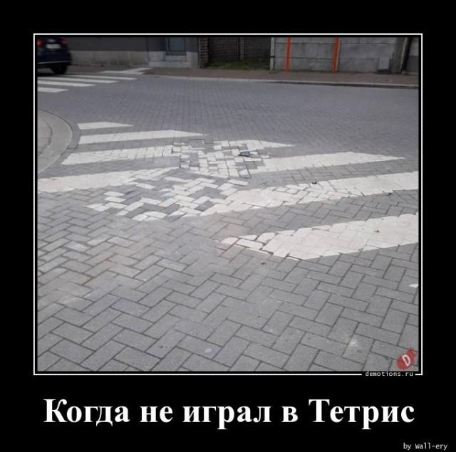 
			Демотиваторы №3676 (20 фото)