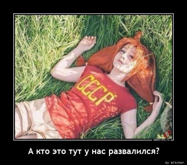 
			Демотиваторы №3678 (20 фото)